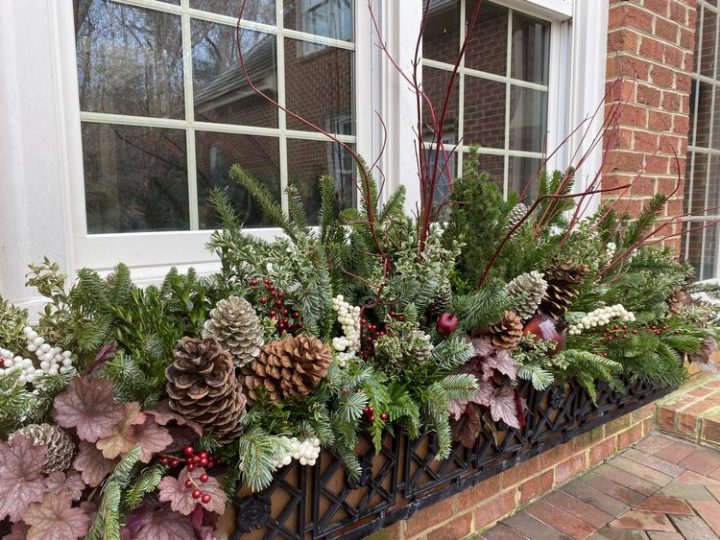 Creating Spectacular Winter Planters- October 26, 2022 - Image 6