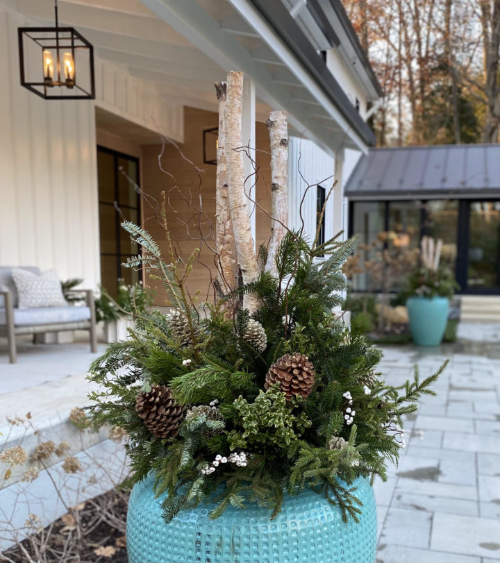 Creating Spectacular Winter Planters- October 26, 2022 - Image 4