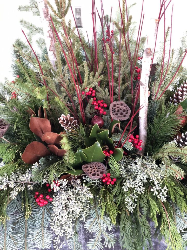 Creating Spectacular Winter Planters- October 26, 2022